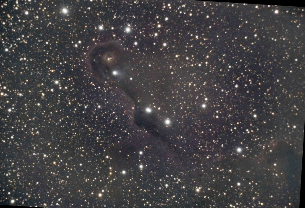 elephant trunk nebula, IC 1396, without focal reducer